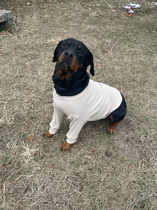 Penelope Pet Tee